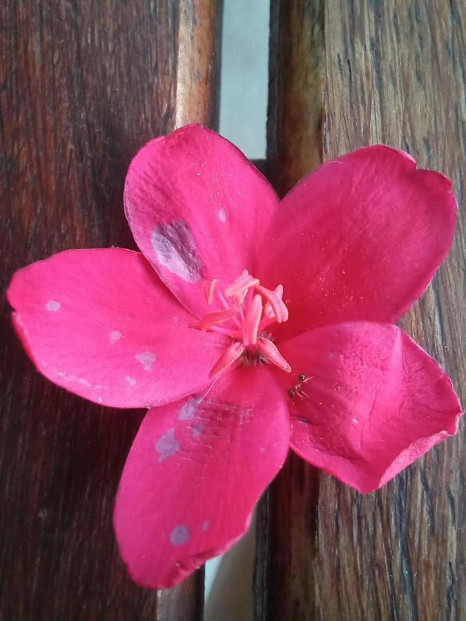 Urban Farm Haus Guesthouse 龙杜 外观 照片