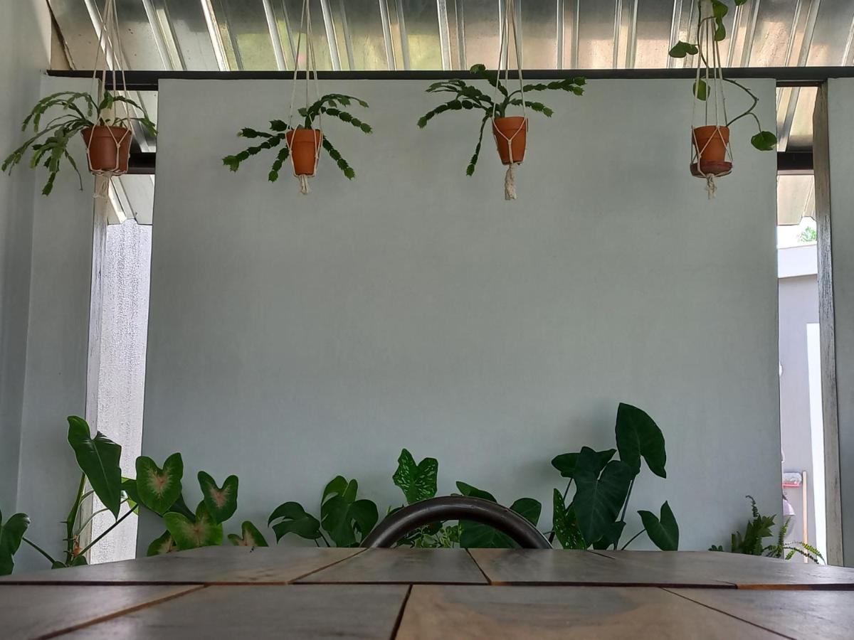 Urban Farm Haus Guesthouse 龙杜 外观 照片