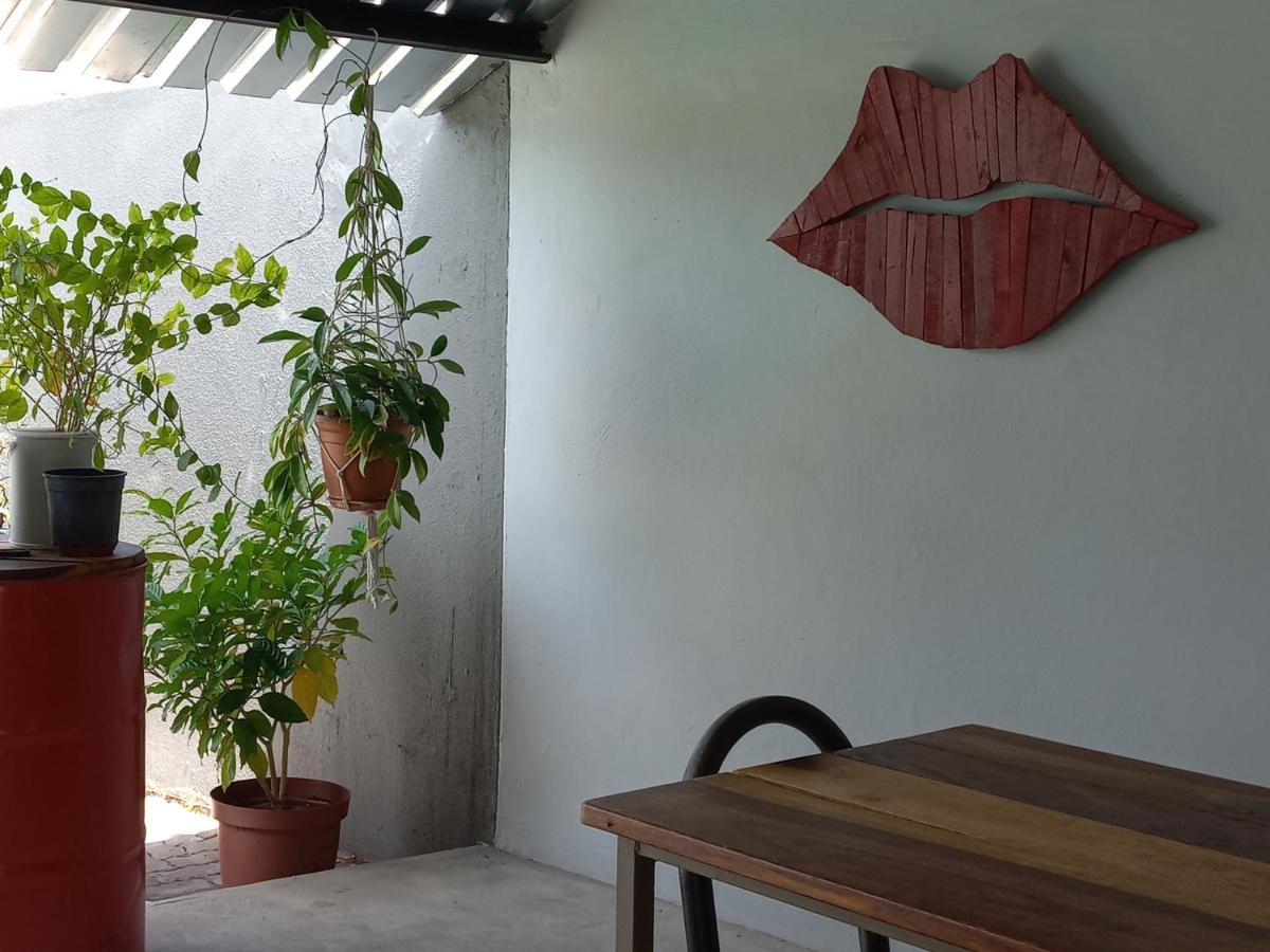 Urban Farm Haus Guesthouse 龙杜 外观 照片