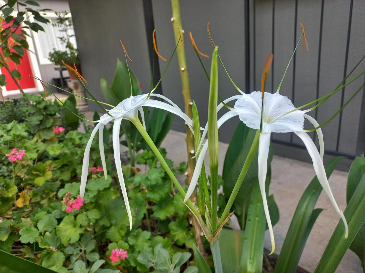 Urban Farm Haus Guesthouse 龙杜 外观 照片