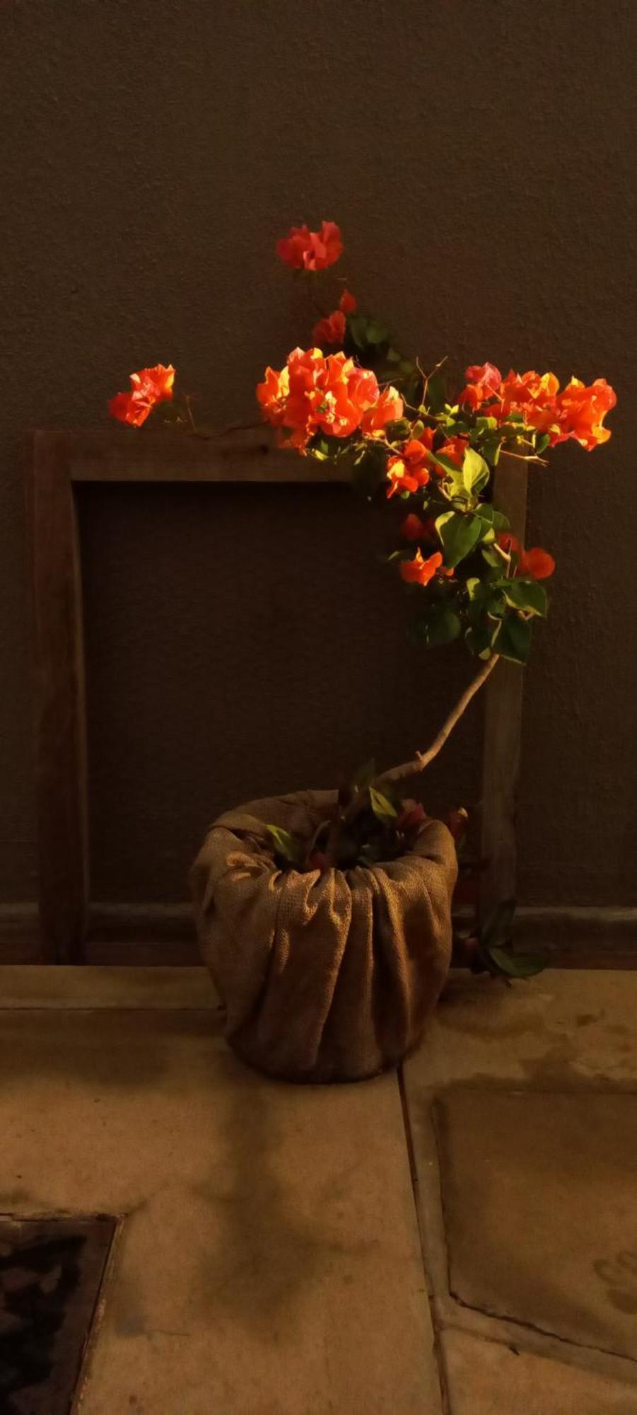 Urban Farm Haus Guesthouse 龙杜 外观 照片